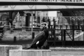 Mart-Reytingleri-Dususte-Hangi-Kanal-Zirvede-featured