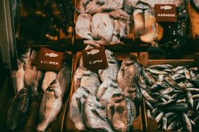 24-Nisan-Cuma-Balik-Burcunu-Neler-Bekliyor-featured